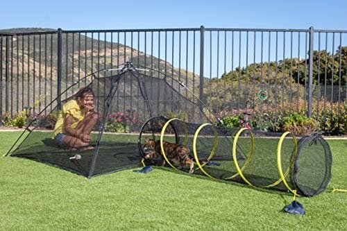 Outdoor Cat House For Play