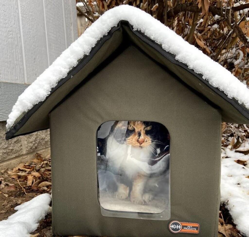 Cat House During Winter