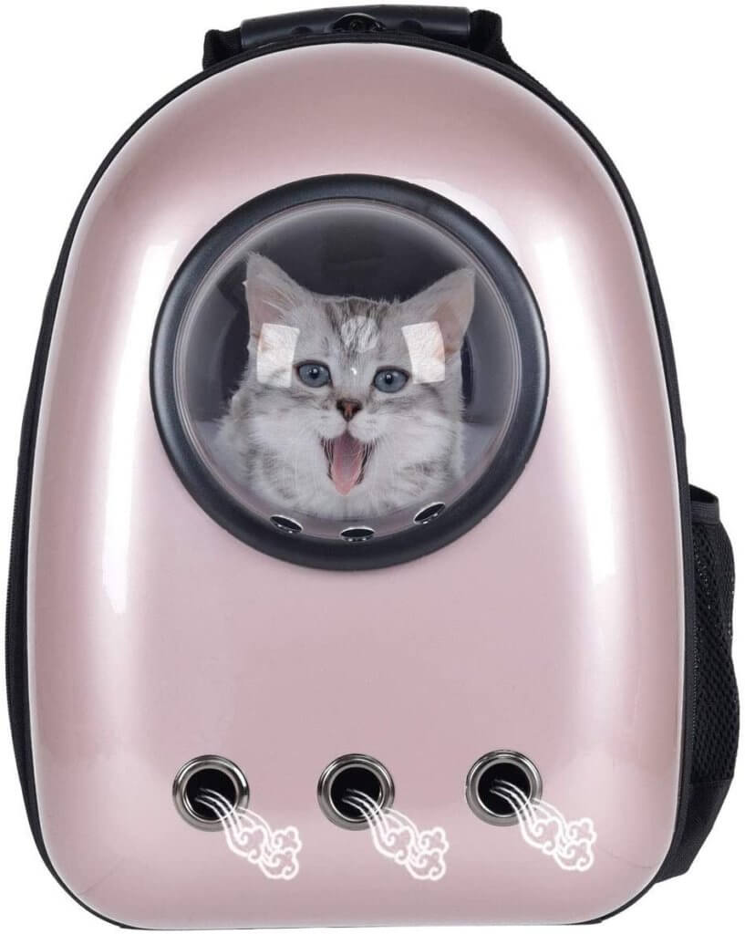 Astronaut Cat