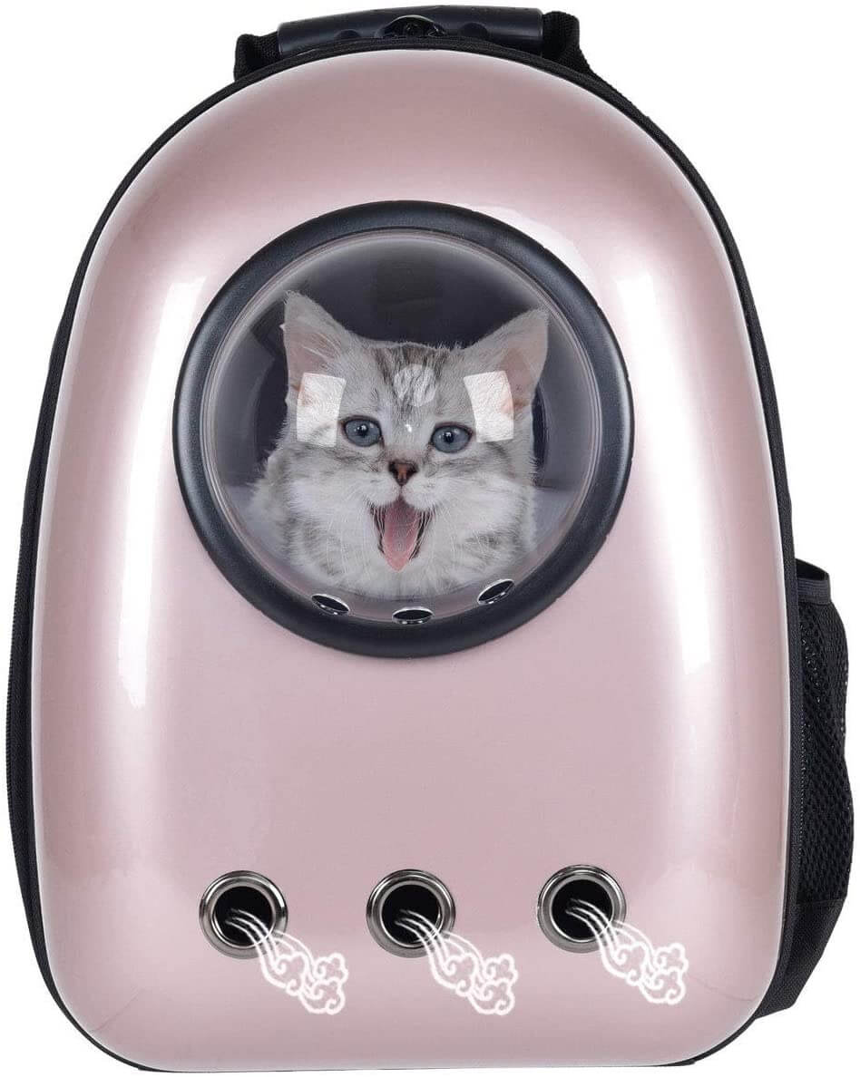 Best Cat Bubble Backpack Features to Consider Purring Meow!