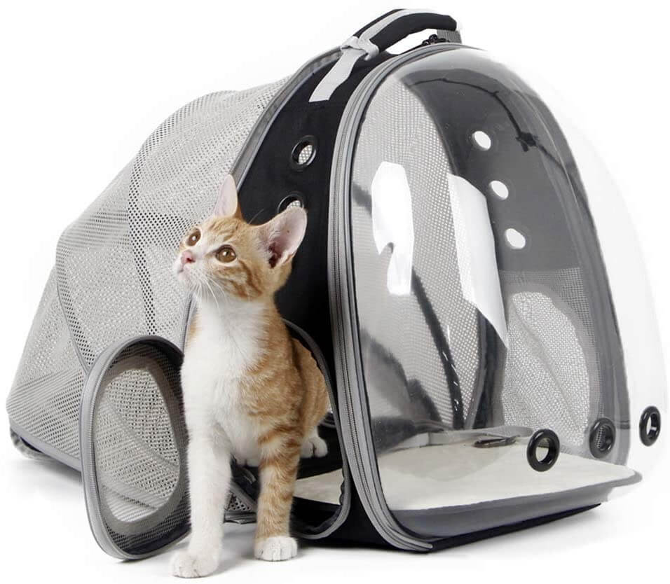 Expandable Cat Bubble Backpack