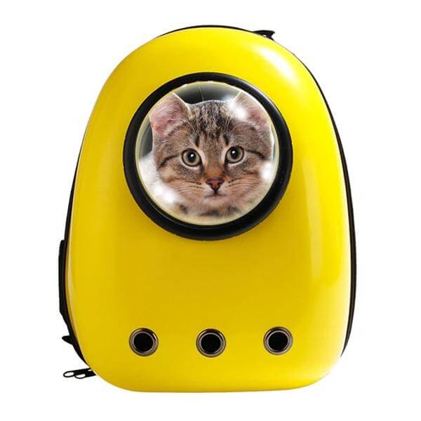 Yellow Cat Bubble Backpack