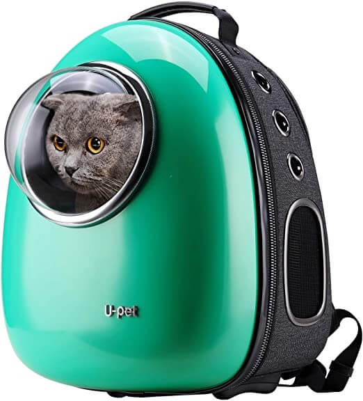 Greenish Cat Bubble Backpack