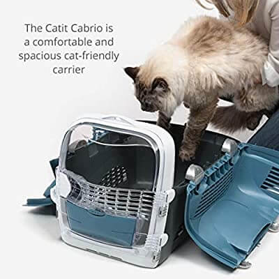 Cat Friendly Carrier