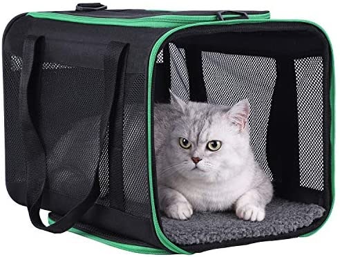 Top Loading Cat Carrier