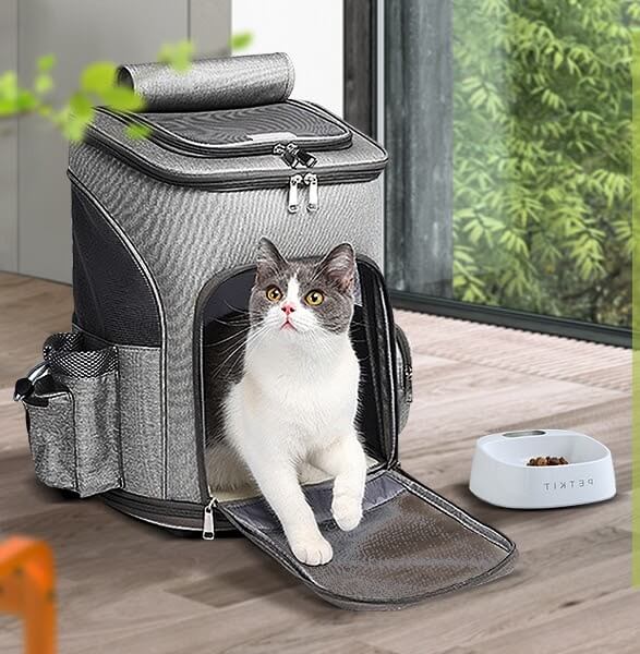 cat carrier on chest