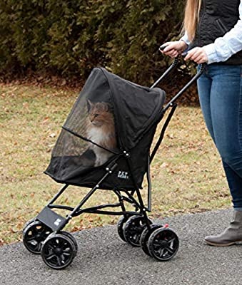 Cat Stroller