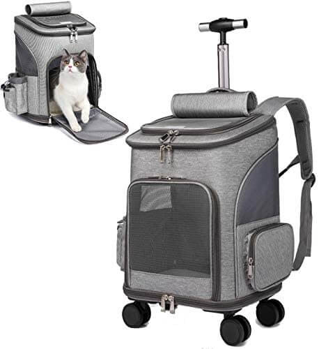 best-large-cat-carrier-2021-purring-meow