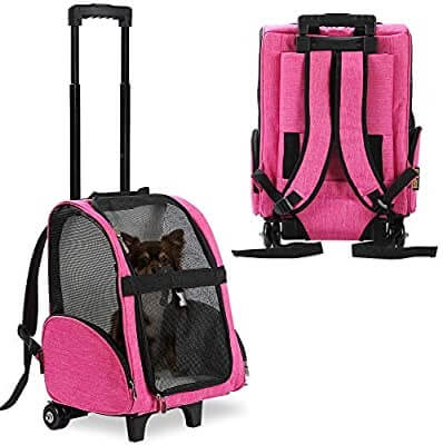 Airline Approved Cat Carrier