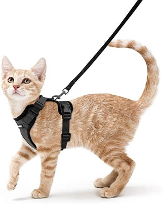 Rabbitgoo Cat Harness