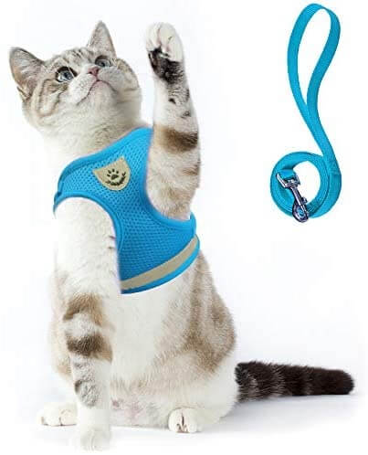 Reflective Cat Harness