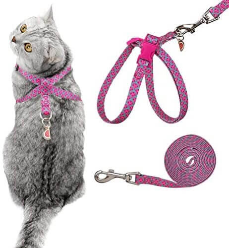 Pink Cat Harness