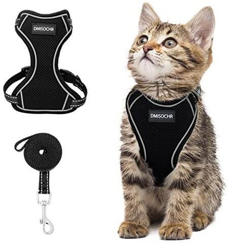 Easy Wear Cat Harness