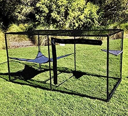 Outdoor Cat Enclosure