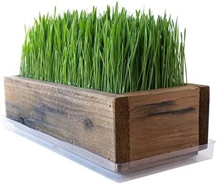 Grass container