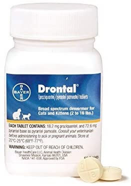 Drontal Cat Dewormer